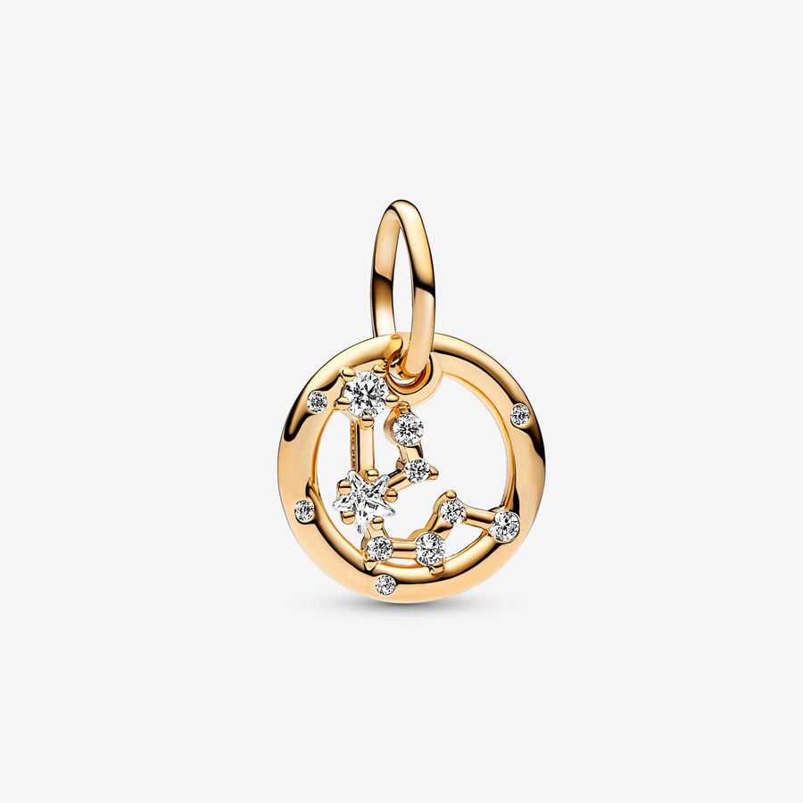 charm pendente signos zodíaco aquarius
