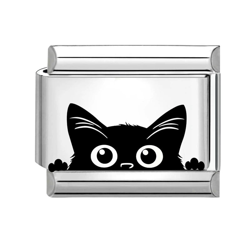 charm™ gato curioso