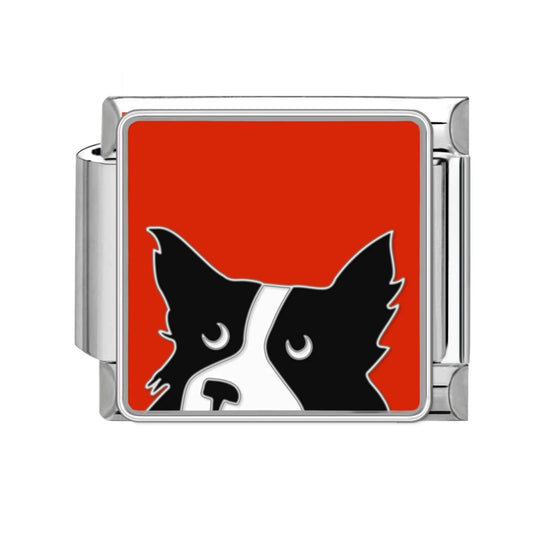 Charm™ Border Collie Atento