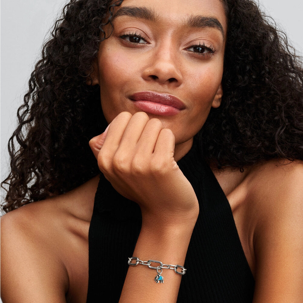 charm mini elefante charmoso